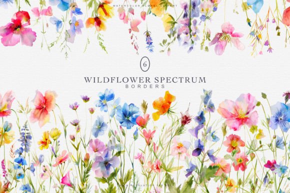 Download Watercolor Colorful Wildflowers Borders - Borders Collection